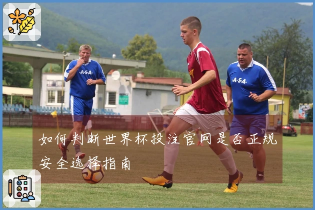 如何判断世界杯投注官网是否正规安全选择指南