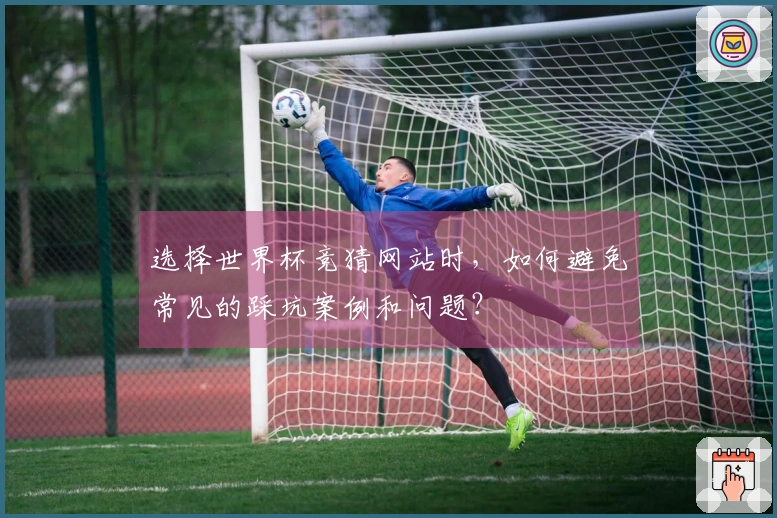 选择世界杯竞猜网站时，如何避免常见的踩坑案例和问题？