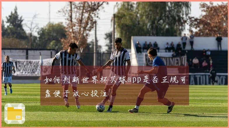如何判断世界杯买球app是否正规可靠便于放心投注