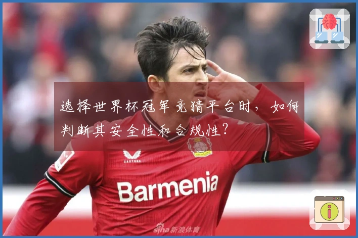 选择世界杯冠军竞猜平台时，如何判断其安全性和合规性？